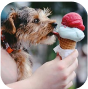 icecream